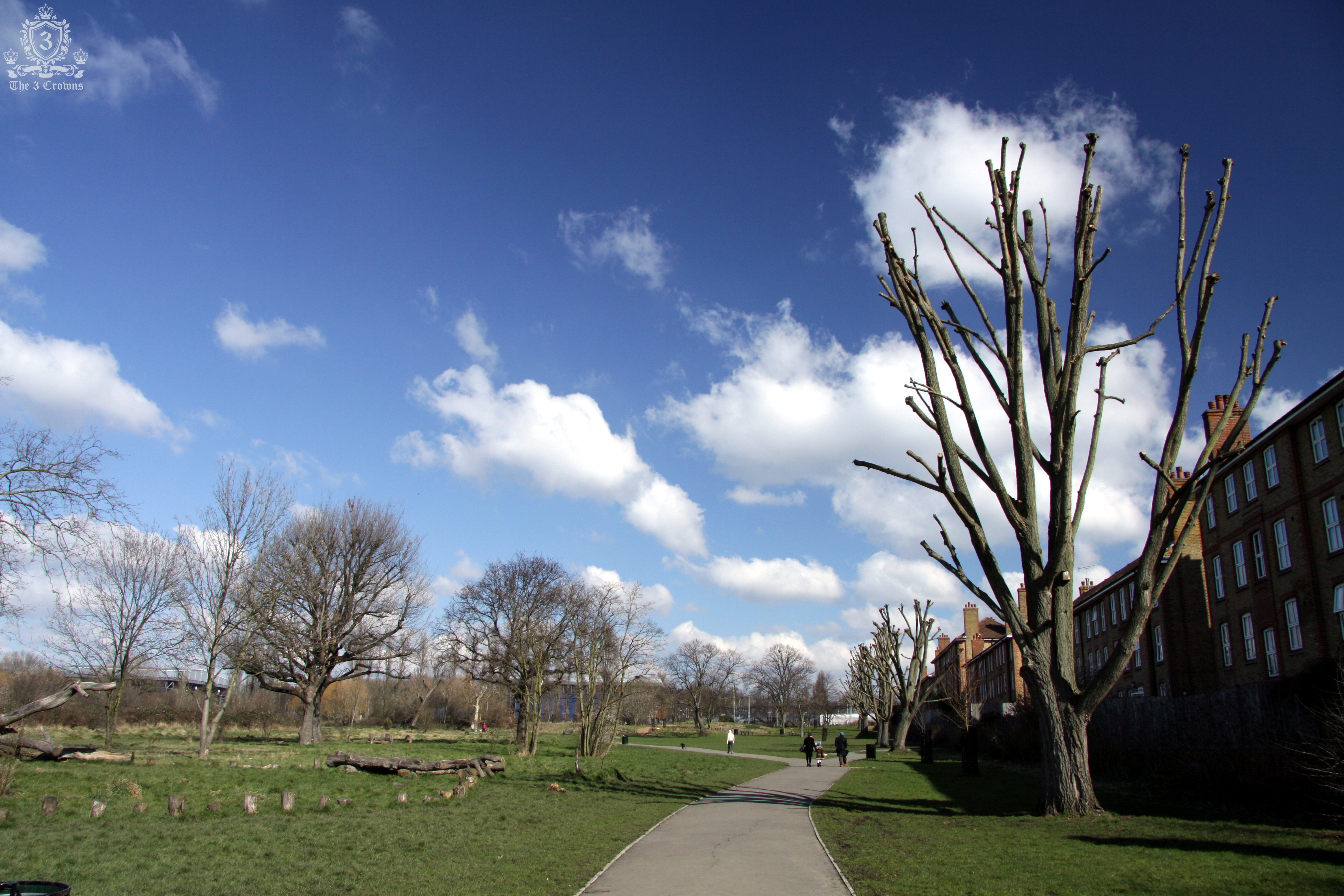 Wormwood Scrubs W12 domestic removals Wormwood Scrubs W12 domestic removals